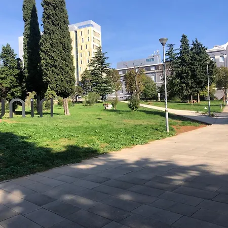 Apartman Domestico *