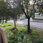 Domestico