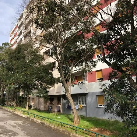 Apartment Domestico