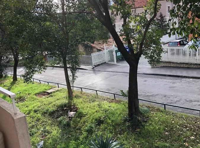 Domestico